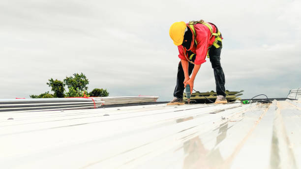 Best Metal Roofing Installation  in Harlan, IN